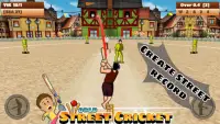 World Street Cricket 2020 Screen Shot 0