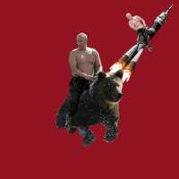 Putin Bear