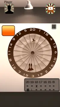 Professional Darts 3D Screen Shot 3