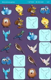 Bird Matching Games Screen Shot 3