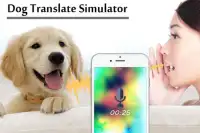 Dog Translator Simulator Screen Shot 0
