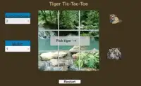 Tiger Tic Tac Toe Screen Shot 2