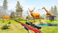ألعاب صيد الاشتباك البرية: قناص بندقية الغابة صياد Screen Shot 15