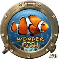 Wonder Fish Juegos Gratis HD