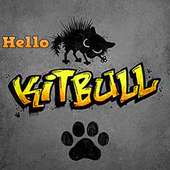 Hello Kitbull