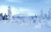 雪景色 ジグソーパズル Screen Shot 2