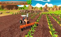 Bull Farming Village Farm 3D Screen Shot 3