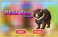 Free New Escape Game 123 Black Bear Escape Screen Shot 0