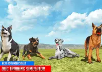 Hundetraining: Hundespiele 3D Screen Shot 10
