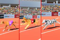 Dog Race Game: Dog Racing 3D Screen Shot 7