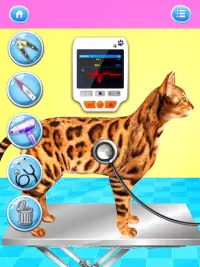 Cat Games: Pet Doctor Dentist Screen Shot 1