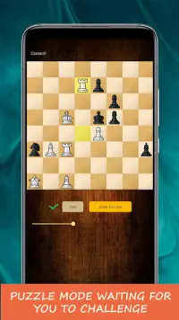 Échecs - Jeu de société classique Screen Shot 2