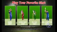 I P Lead Cricket Screen Shot 4