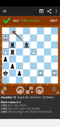 Fun Chess Puzzles Screen Shot 3