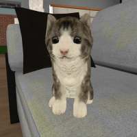 Kitty Cat Simulator