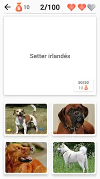 Razas de perros - Quiz sobre todos los perros Screen Shot 2