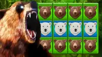Bear Slots - Free Slot Casino Screen Shot 0