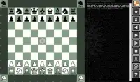Persian Chess Screen Shot 1