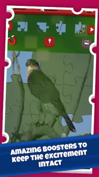 Birds Jigsaw Puzzle Game: Amazing Facts and Trivia Screen Shot 4