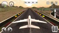 Airplane Flight Pilot Sim Screen Shot 7