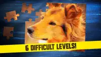 Welpen-Hunde-Puzzlespiele Screen Shot 3