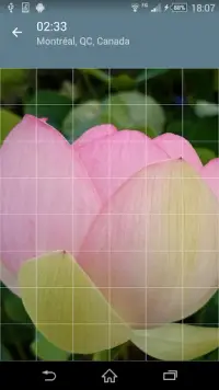 Rompecabezas: Flores Screen Shot 7