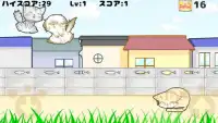 ねこらんにゃ～　無料の猫のランゲーム Screen Shot 2