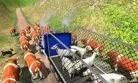 Farm Animal Truck Driver Game Screen Shot 3