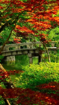 Сад Живые Обои 💚 Красивые Цветы Картинки Screen Shot 4