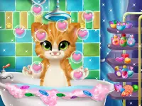 Fluffy Kitty Mèo Trò chơi chăm sóc ban ngày cho tr Screen Shot 2
