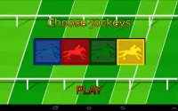 Horse Race Game Screen Shot 5