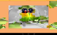 puzzle burung Screen Shot 14