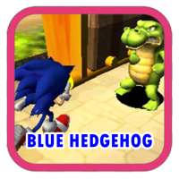 Blue Hedgehog FINAL MISSION