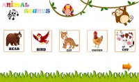 Animal Sounds - Animals for Kids, Learn Animals Screen Shot 17
