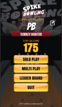 Spike Bowling (Simple Sports Game) Screen Shot 0