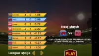 World Cricket: Indian T20 2016 Screen Shot 6