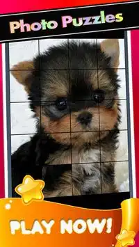 Puppies Yorkshire Pictures-Dog Animal Puzzle Game Screen Shot 1