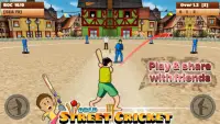 World Street Cricket 2020 Screen Shot 1