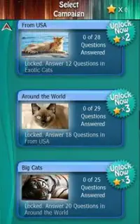 Kitty Cat Breeds Quiz HD Screen Shot 2