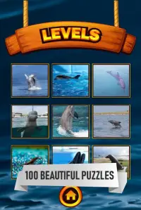 Dolphin Jigsaw Puzzle Screen Shot 1