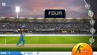 Bat2Win Free Cricket Game Screen Shot 0