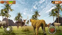 Wild Cheetah Simulator Games Screen Shot 3