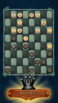 Schaken - Chess for Beginners Screen Shot 2