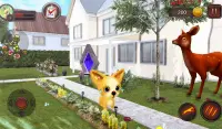 Chihuahua Dog Simulator Screen Shot 10