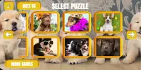 Dogs & puppies jigsaw puzzles Screen Shot 0