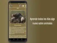 Adivinanzas de Animales- Quiz Juego Gratis Screen Shot 2