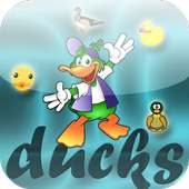 Duck Match