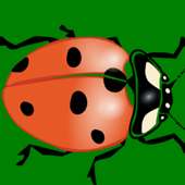 Ladybug Hunt