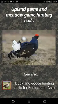 Turkey hunting calls Screen Shot 1