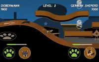 Dog Agility Game Screen Shot 8